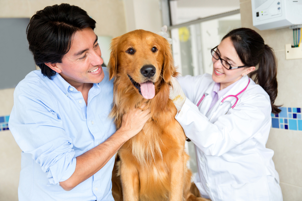 competitive recruiting veterinary talent ebook guide